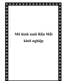  Mô hình nuôi Rắn Mối khởi nghiệp