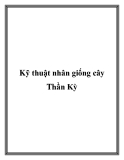 Kỹ thuật nhân giống cây Thần Kỳ