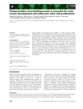 Báo cáo khoa học: Polypyrimidine tract-binding protein is essential for early mouse development and embryonic stem cell proliferation