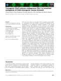 Báo cáo khoa học: Transgenic Cdx2 induces endogenous Cdx1 in intestinal metaplasia of Cdx2-transgenic mouse stomach