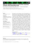 Báo cáo khoa học: PI3K⁄Akt signalling-mediated protein surface expression sensed by 14-3-3 interacting motif
