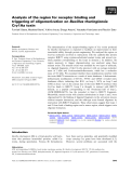 Báo cáo khoa học: Analysis of the region for receptor binding and triggering of oligomerization on Bacillus thuringiensis Cry1Aa toxin