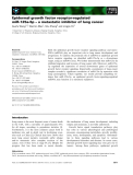 Báo cáo khoa học: Epidermal growth factor receptor-regulated miR-125a-5p – a metastatic inhibitor of lung cancer