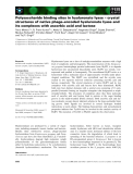 Báo cáo khoa học: Polysaccharide binding sites in hyaluronate lyase – crystal structures of native phage–encoded hyaluronate lyase and its complexes with ascorbic acid and lactose