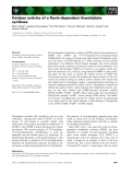 Báo cáo khoa học: Oxidase activity of a ﬂavin-dependent thymidylate synthase