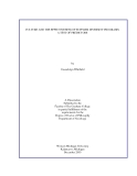 Research " CULTURE AND THE EFECTIVENESS OF SUPPLIER DIVERSITY PROGRAMS: A TEST OF PREDICTORS "