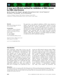 Báo cáo khoa học: A new and efﬁcient method for inhibition of RNA viruses by DNA interference