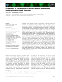 Báo cáo khoa học: Properties of the Kinesin-3 NcKin3 motor domain and implications for neck function