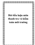 Bài tiểu luận Thanh tra và kiểm toán môi trường
