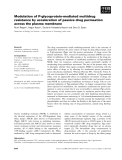 Báo cáo khoa học: Modulation of P-glycoprotein-mediated multidrug resistance by acceleration of passive drug permeation across the plasma membrane
