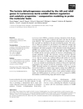 Báo cáo khoa học: The lactate dehydrogenases encoded by the ldh and ldhB genes in Lactococcus lactis exhibit distinct regulation and catalytic properties ) comparative modeling to probe the molecular basis