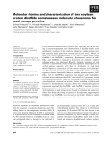 Báo cáo khoa học: Molecular cloning and characterization of two soybean protein disulﬁde isomerases as molecular chaperones for seed storage proteins