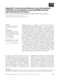 Báo cáo khoa học: Hepatitis C virus internal ribosome entry site-mediated translation is stimulated by cis-acting RNA elements and trans-acting viral factors