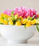 Cắm hoa bàn tiệc nhanh, dễ, đẹp
