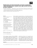 Báo cáo khoa học: Engineering and characterization of human manganese superoxide dismutase mutants with high activity and low product inhibition