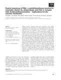 Báo cáo khoa học: Crystal structures of CbiL, a methyltransferase involved in anaerobic vitamin B12 biosynthesis, and CbiL in complex with S-adenosylhomocysteine ) implications for the reaction mechanism