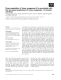 Báo cáo khoa học: Down-regulation of heme oxygenase-2 is associated with the increased expression of heme oxygenase-1 in human cell lines