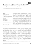 Báo cáo khoa học: Deoxyribonuclease I footprinting reveals different DNA binding modes of bifunctional platinum complexes