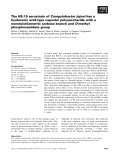 Báo cáo khoa học: The HS:19 serostrain of Campylobacter jejuni has a hyaluronic acid-type capsular polysaccharide with a nonstoichiometric sorbose branch and O-methyl phosphoramidate group