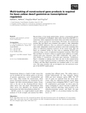 Báo cáo khoa học: Multi-tasking of nonstructural gene products is required for bean yellow dwarf geminivirus transcriptional regulation