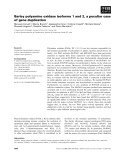 Báo cáo khoa học: Barley polyamine oxidase isoforms 1 and 2, a peculiar case of gene duplication