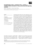 Báo cáo khoa học: Constitutively active a subunits of Gq/11 and G12/13 families inhibit activation of the pro-survival Akt signaling cascade