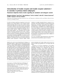 Báo cáo khoa học:  Colocalization of insulin receptor and insulin receptor substrate-1 to caveolae in primary human adipocytes Cholesterol depletion blocks insulin signalling for metabolic and mitogenic control