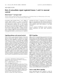 Báo cáo khoa học:  Role of extracellular signal regulated kinases 1 and 2 in neuronal survival