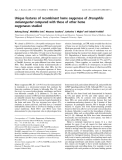 Báo cáo khoa học:  Unique features of recombinant heme oxygenase of Drosophila melanogaster compared with those of other heme oxygenases studied