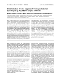 Báo cáo khoa học: Crystal structure of heme oxygenase-1 from cyanobacterium Synechocystis sp. PCC 6803 in complex with heme