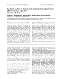 Báo cáo khoa học: Functional analysis of the basic helix-loop-helix transcription factor DEC1 in circadian regulation