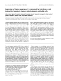 Báo cáo khoa học: Expression of heme oxygenase-1 is repressed by interferon-c and induced by hypoxia in human retinal pigment epithelial cells