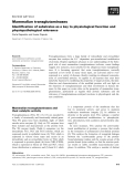 Báo cáo khoa học: Mammalian transglutaminases Identification of substrates as a key to physiological function and physiopathological relevance