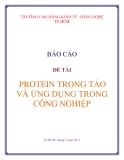 Tiểu luận " PROTEIN TRONG TẢO VÀ ỨNG DỤNG TRONG CÔNG NGHIỆP'