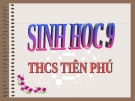 TIẾT 12: CƠ CHẾ XÁC ĐỊNH GIỚI TÍNH