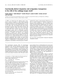 Báo cáo khoa học: Functionally distinct dopamine and octopamine transporters in the CNS of the cabbage looper moth*
