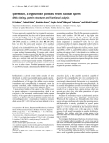 Báo cáo khoa học: Spermosin, a trypsin-like protease from ascidian sperm cDNA cloning, protein structures and functional analysis