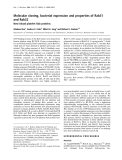Báo cáo Y học:  Molecular cloning, bacterial expression and properties of Rab31 and Rab32