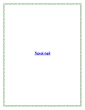 Ngoại ngữ