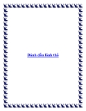 Đánh dấu lãnh thổ