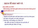 Thiết kế nghiên cứu mô tả
