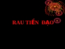 Bài giảng: Rau tiền đạo