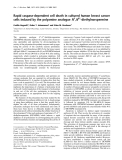 Báo cáo Y học:  Rapid caspase-dependent cell death in cultured human breast cancer cells induced by the polyamine analogue N1,N11-diethylnorspermine