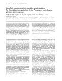 Báo cáo Y học:  Interallelic complementation provides genetic evidence for the multimeric organization of the Phycomyces blakesleeanus phytoene dehydrogenase