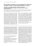 Báo cáo Y học:  GPI-microdomains (membrane rafts) and signaling of the multi-chain interleukin-2 receptor in human lymphoma/leukemia T cell lines