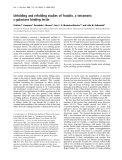 Báo cáo Y học: Unfolding and refolding studies of frutalin, a tetrameric D-galactose binding lectin