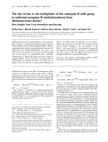 Báo cáo Y học: The role of zinc in the methylation of the coenzyme M thiol group in methanol:coenzyme M methyltransferase from Methanosarcina barkeri New insights from X-ray absorption spectroscopy