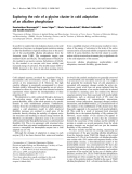 Báo cáo Y học: Exploring the role of a glycine cluster in cold adaptation of an alkaline phosphatase