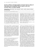 Báo cáo Y học: Tyrosine sulfation and N-glycosylation of human heparin cofactor II from plasma and recombinant Chinese hamster ovary cells and their effects on heparin binding