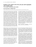 Báo cáo Y học:  Evolution of the enzymes of the citric acid cycle and the glyoxylate cycle of higher plants